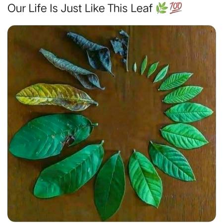 Reality ❤❤