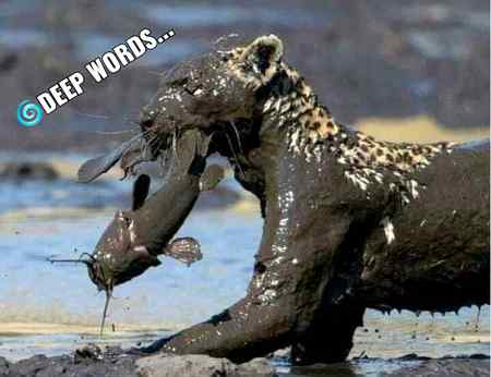 *_🌀Dᵉᵉᵖ Wᵒʳᵈˢ️____*

*رزق کی خاطر لباس گندا کرنا۔۔۔۔*😒✨

*ضمیر گندا کرنے سے لاکھ درجہ بہتر ہے۔*