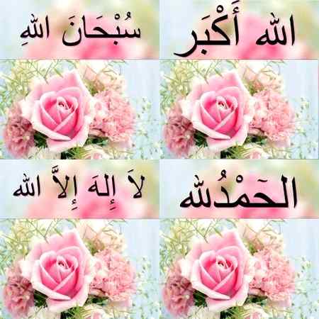 *یقیناً محــروم ہے وہ_جسے علـم ہو کہ زبان تھکتی نہیــــں اور وہ دن بھـر میـں بالکل بھی اللّٰــــہ کا ذکـــر نہ کــرے