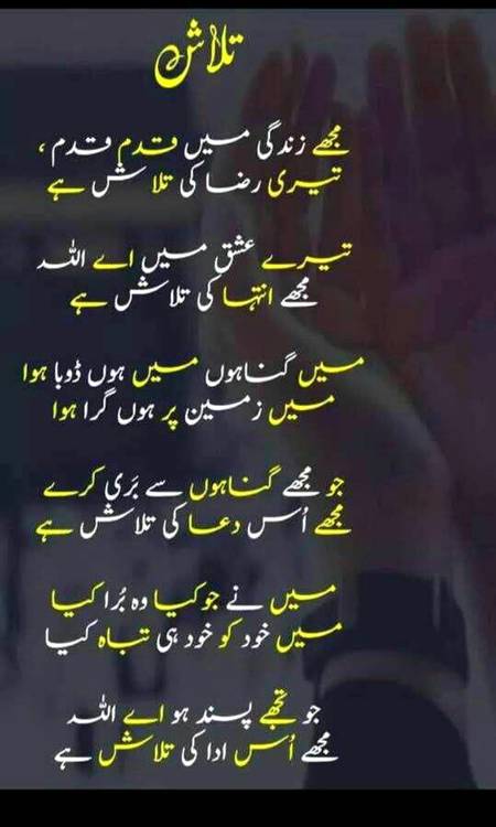 🌟🌟الله أكبر🌟🌟