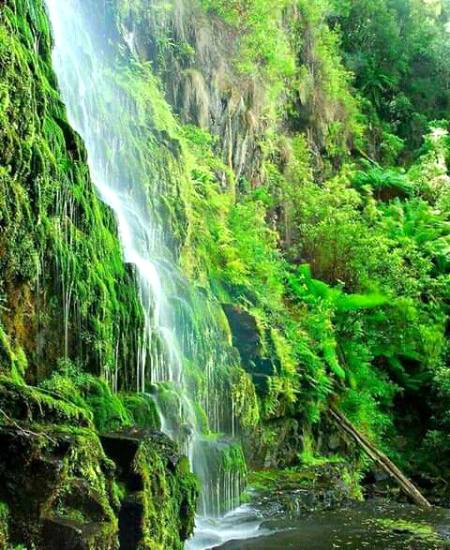 Amazng Nutore