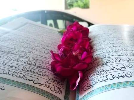 سورہ یوسف کا ایک پیارا سبق!
زندگی میں اگر آپ کے بہت قریبی اور عزیز بھی
 آپکو دغا دے جائیں،....
آپکے خلاف ہو جائیں تب بھی
 اگر آپ صبر سے کام لیں...
 اور اللہ پاک پر کامل یقین رکھیں تو 
اللہ پاک آپکو وہ مقام عطا کرے گا ....
کے زمانہ دیکھتا رہ جائے گا...
 اندھیر نگری میں روشنی اور نور کے خزانے آپ پر کھول دیے جائیں گے...❤