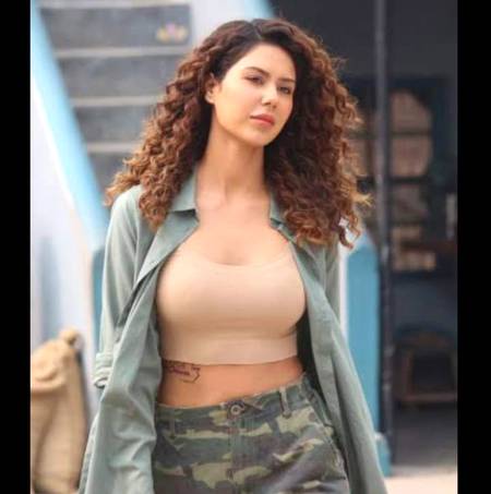 Sonam bajwa...