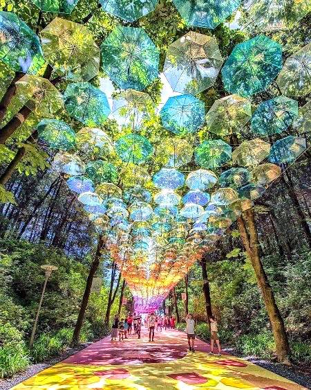 Incredible view of Japan!