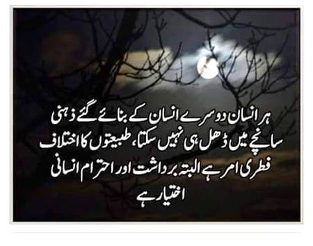 🌹🌹🌹صلی اللہ علی حبیبہ محمد نور من نوراللہ وعلی آلہ واہل بیتہ وعترتہ وازواجہ وصحبہ وجدہ وذریتہ و کل امتہ وبارک وسلم کثیراً کثیرا و دائماً ابدا 🌹🌹🌹