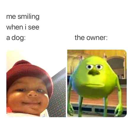 Mera sath tu ab bhe hota ha larko ko lagta ha ma un ko dekh kr khush ho rhe hoon jab ka ma dog ko dekh rhe hote hoon😛😜😜😜Amna MALIK😜