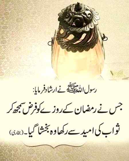 Hlo friends