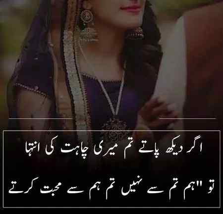 Nice lines 
MUGHAL SHARNI🐯👈