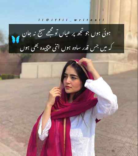 💫💥💫💥💫💥💫💥💫💥💫