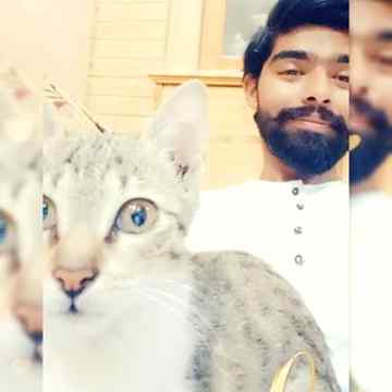 Cuty cat? ....