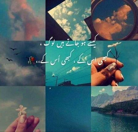wo to bary samjdar log hoty hai ..kabi in k kabi un k ....👏👏🤔🙄🙄