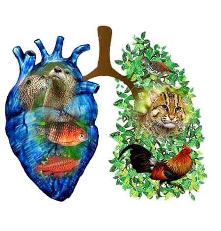 Sending by fareed ahmed shaikh