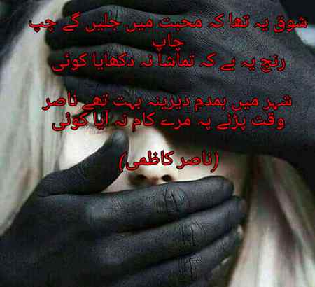 شہر میں ہمدمِ دیرینہ بہت تھے ناصر
وقت پڑنے پہ مرے کام نہ آیا کوئی

(ناصر کاظمی)