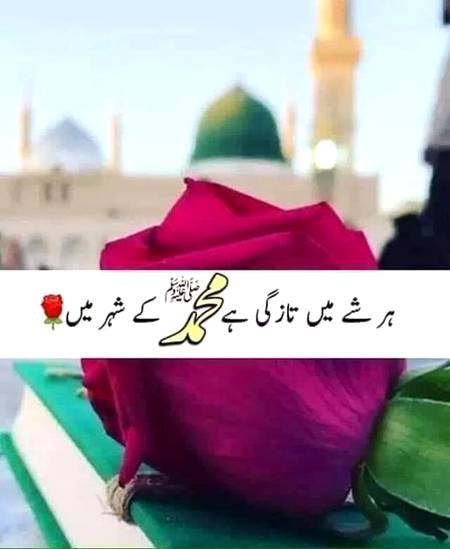 🌹🌹نعتِ رسول مقبول ﷺ." کا کوئی مصرع ، جو اکثر آپ کی زبان پے طاری رہتا ہے🌹🌹