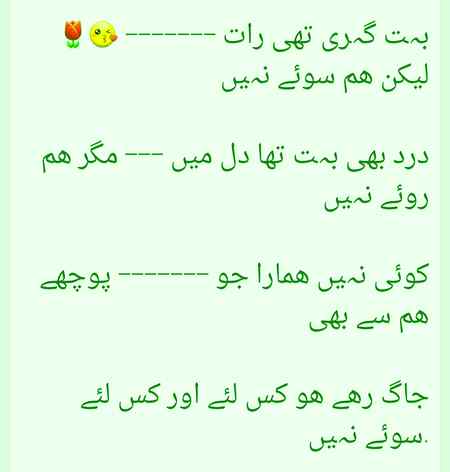 ❤❤❤🌹🌹🌹❤❤❤🌹🌹🌹❤❤❤🌹