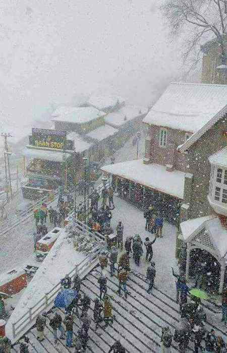 Beautiful MuRReE❄️❄️