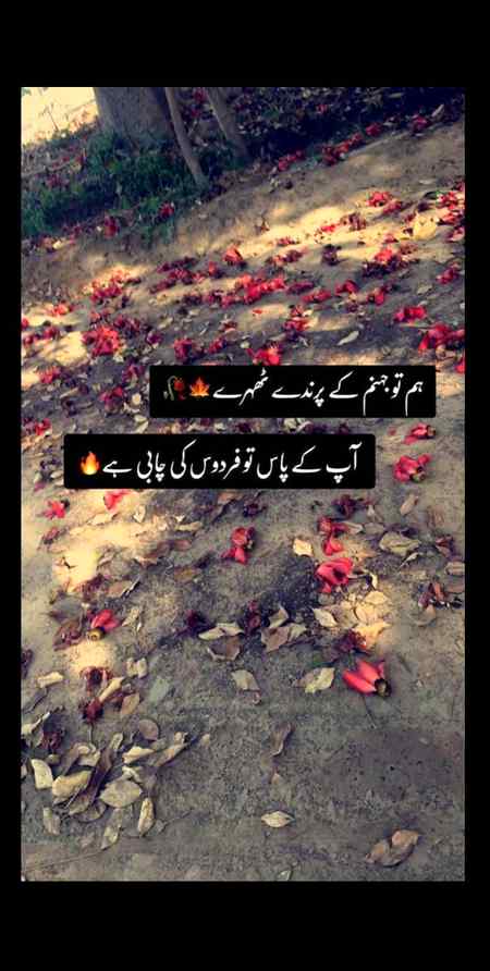 Absolutely right 💯🔥