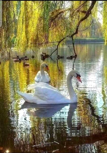 Hmmm very Amazing💕