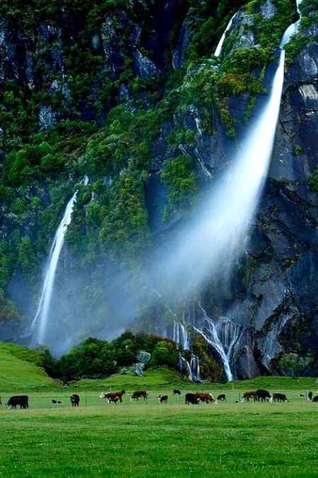Wind blown falls, new Zealand