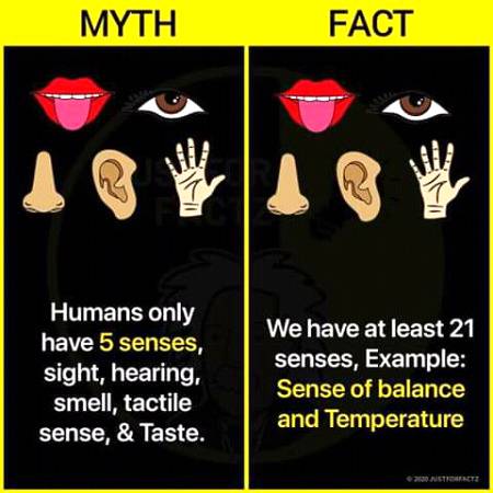 Fact vs myth..