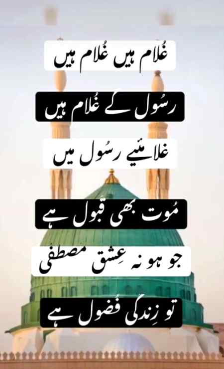 یا رسول اللّه تیرے سوا ہم بے کسوں  کا آسرا کوئی نہیں