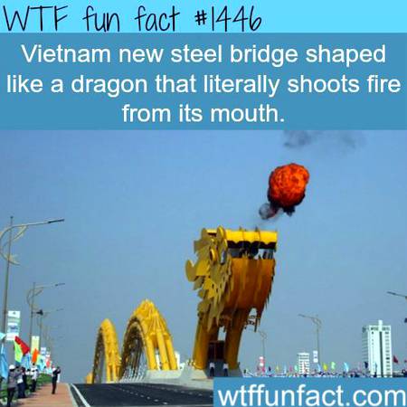 WTF fun fact