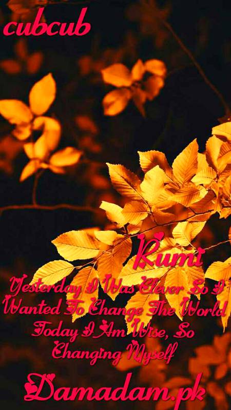 RUMI'S WORDS