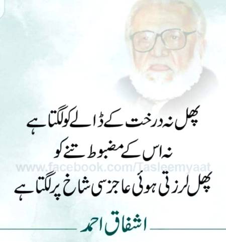 Nice one🙂