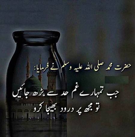 No Doubt In This💖💞💞🌷🌷💞💞💖💖💖💞🌷