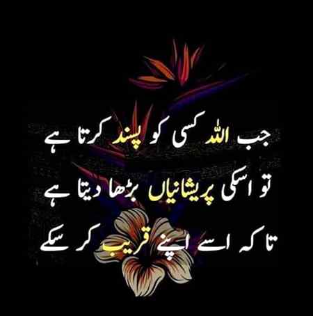 💖💖Bilkul💖💖