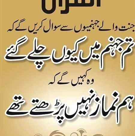 hlo friends