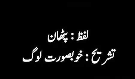 Haa g sahi ha