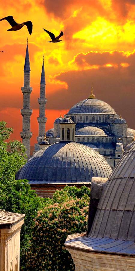 Blue Mosque ,Hagia Sophia Istanbul turkey 💕💕
