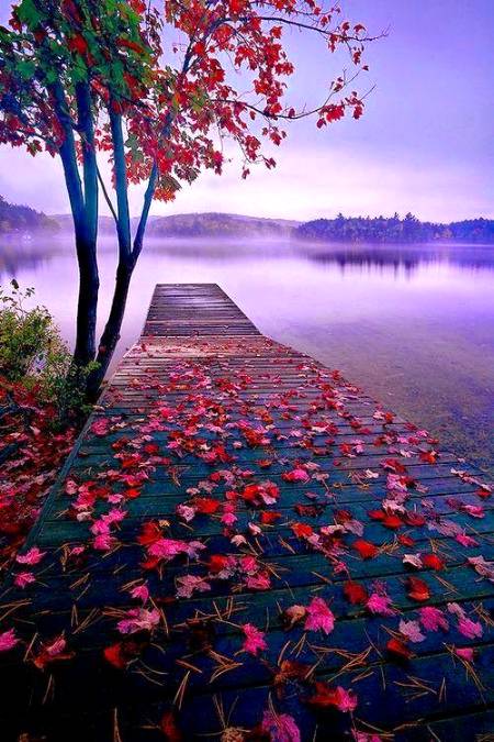 Nature sence