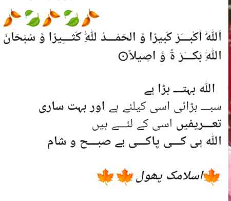 🌺🌹🌺🌹🌺🌹🌺🌹🌺🌹🌺🌹🌺🌹🌺🌹🌺