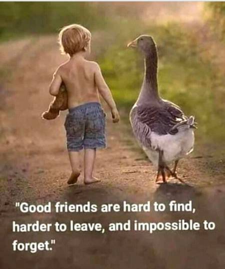 Sach ha bilkul
