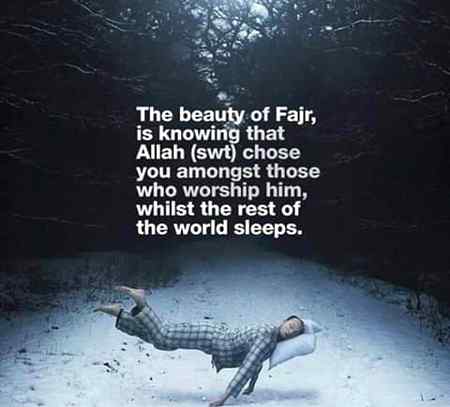 Absolutely THESE ARE THE BLESSINGS OF ALLAH.😍❤💕👍