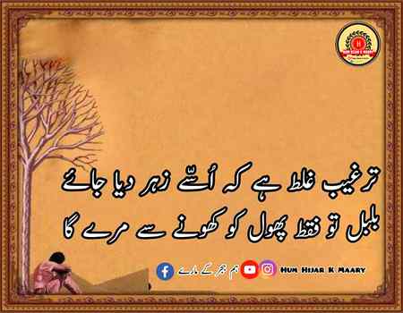 Tarteeb galt hai  ....