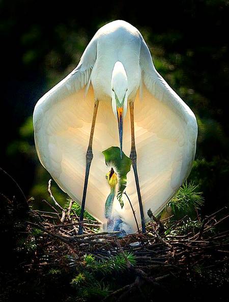 Awesome photography 💕💕