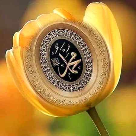 ...💐💐💐💐💐...