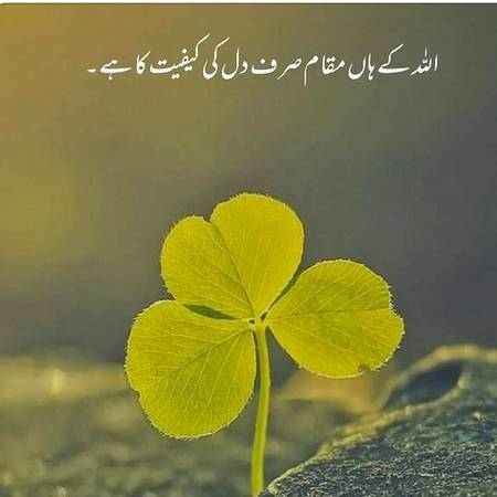 *" بےشک میرا اللّٰہ دلوں کے راز خوب جانتا ہے-*  🦋🍁🦋