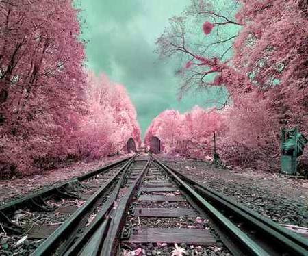 💓مجھے سارے رنج قبول ہیں اسی ایک شخص کے پیار میں 
میری زیست کے کسی موڑ پر جو مجھے ملا تھا بہار میں ⚘