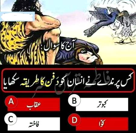 BoLOooo BoLooO Hannnn..