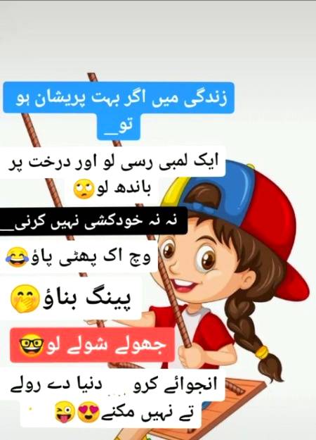 ꙳≽✿─⊰۝⊱─✿≼꙳