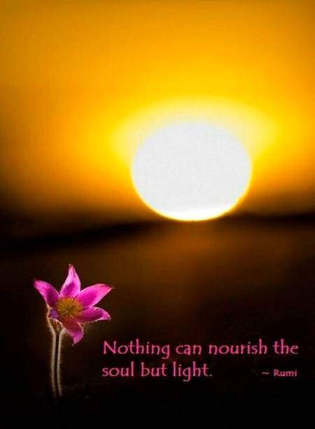 RUMI'S WORDS
