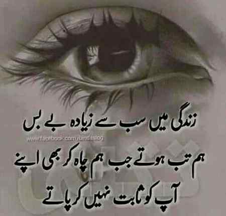 Mughal sharni follow me