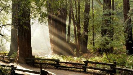 I LOVE NATURE