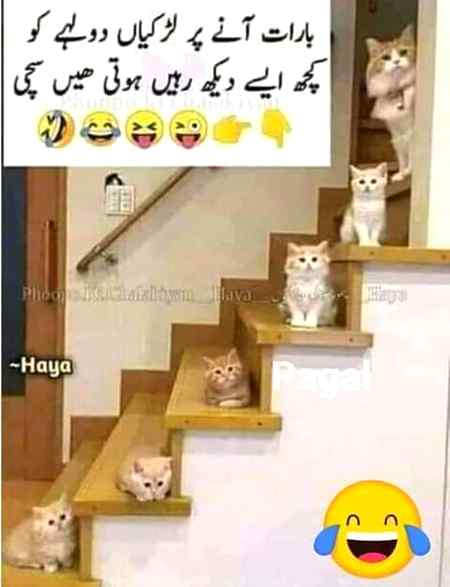 Sending by fareed ahmed shaikh