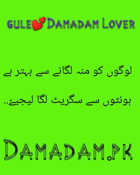 gule💕Damadam Lover🔥