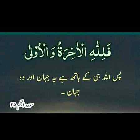___Beshk__@